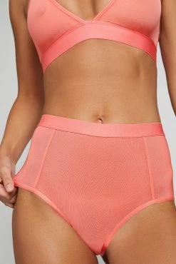 Negative Underwear Sieve High-Waist Brief In Coral
